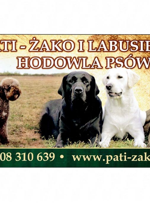 Pati -Żako i Labusie (FCI)
