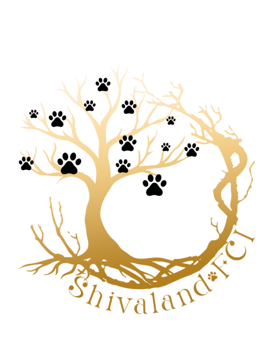 Shivaland