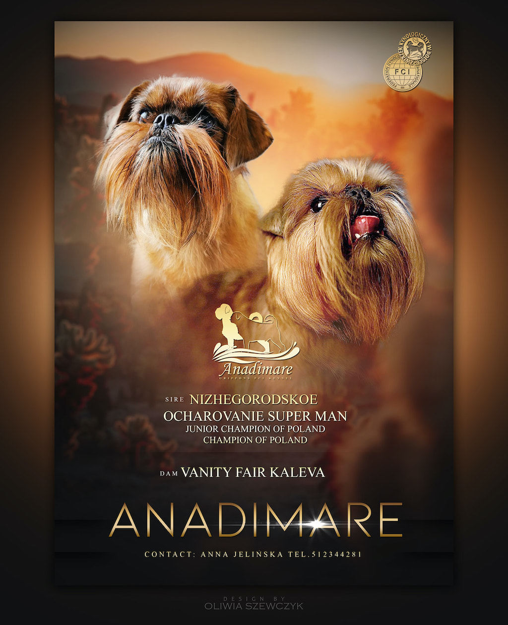 Hodowla - gryfonika brukselski