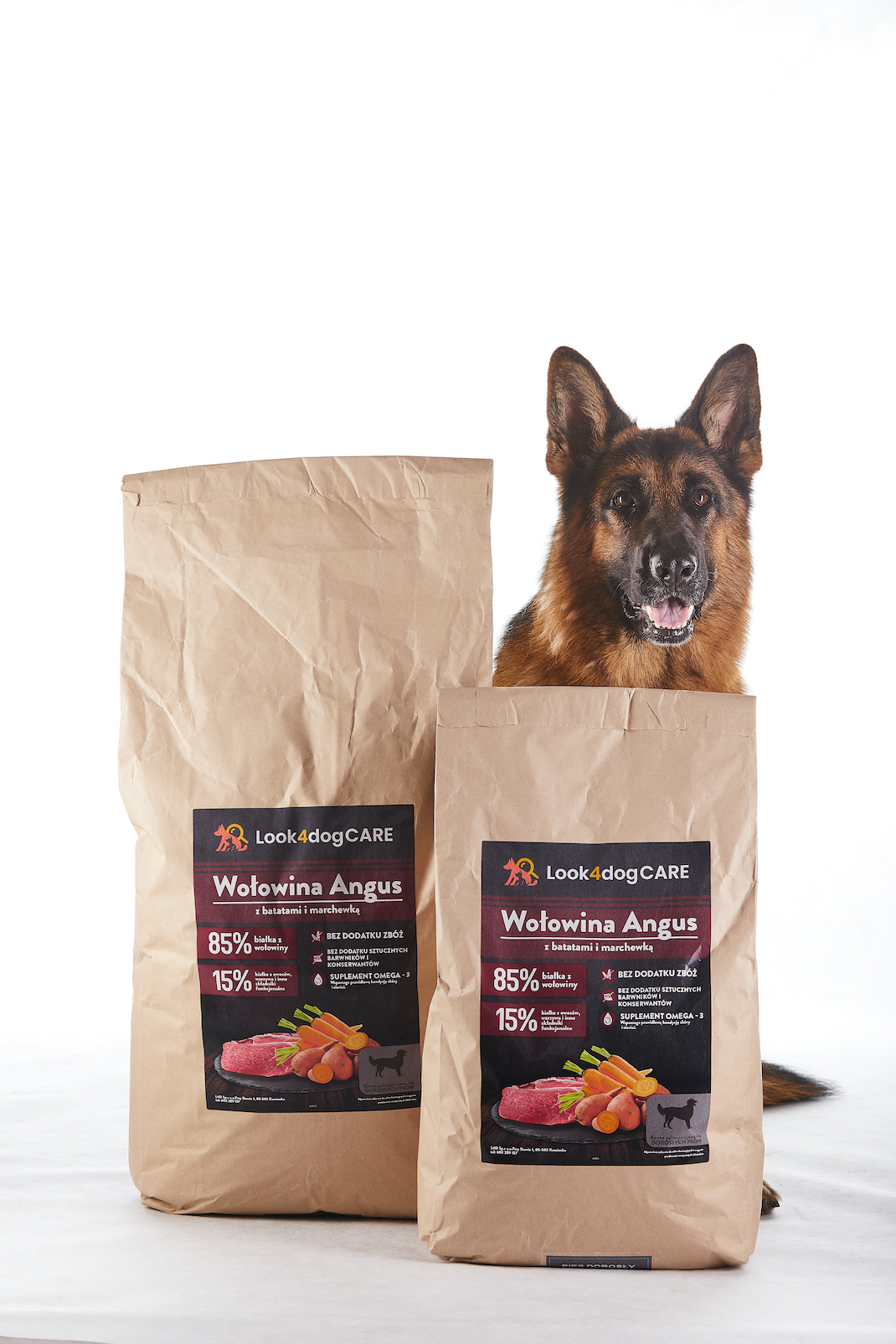 owczarek niemiecki Look4dog CARE