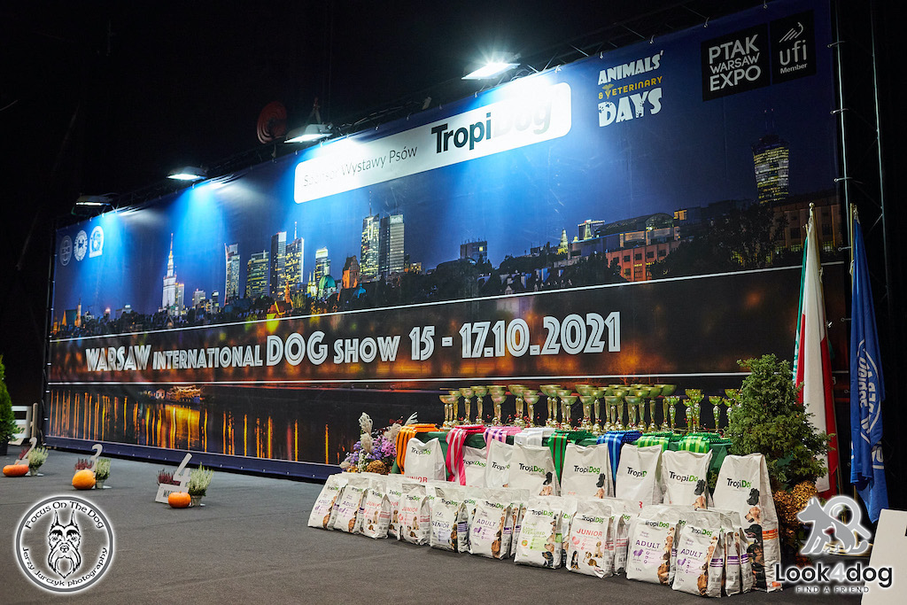 Międzynarodowa wystawa psów rasowych