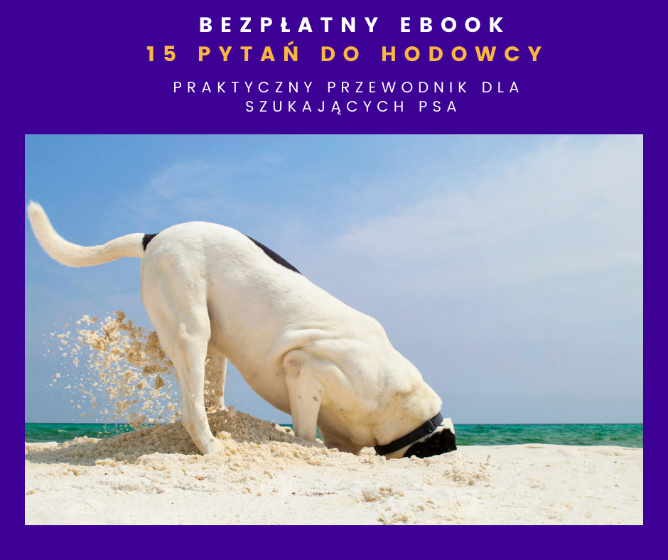 ebook o co pytać hodowcę psa