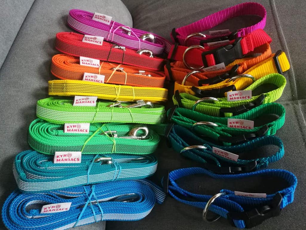 kolorowe obroże dla psa