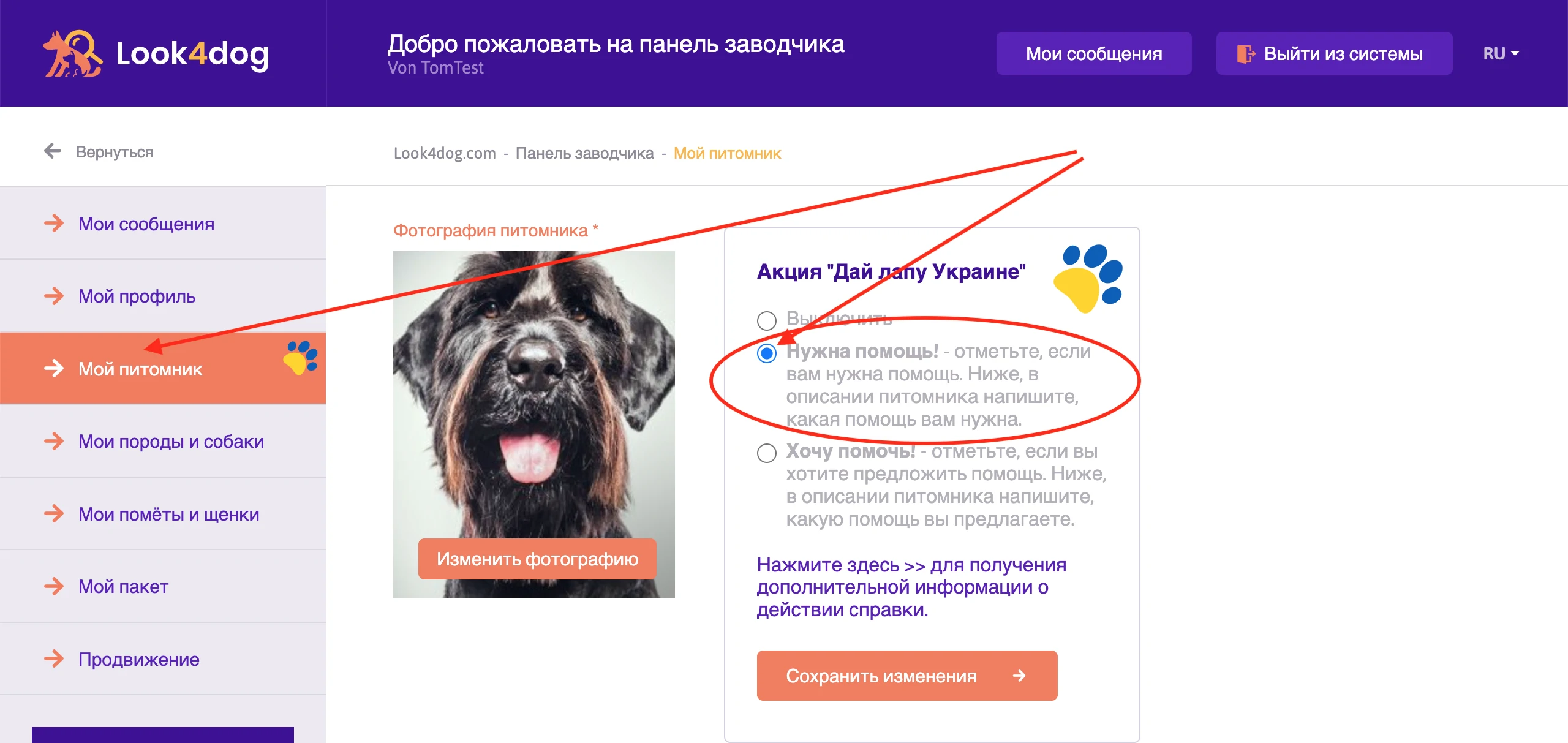 Акция Дай Лапу Украине