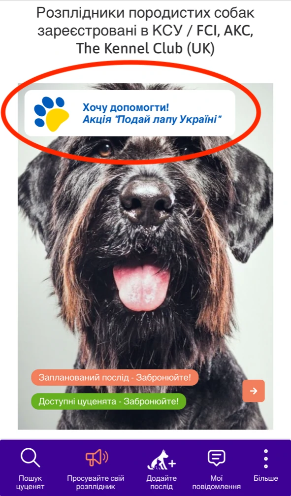 Акція - Подай Лапу Україні