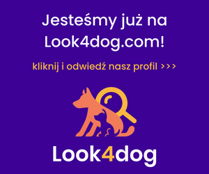 Program - Jesteśmy na Look4dog.com!