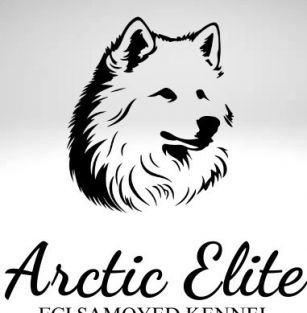 Arctic Elite