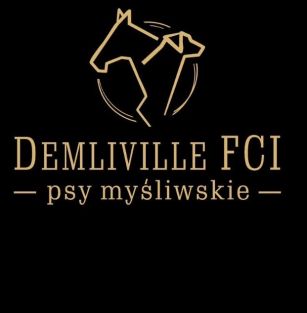 Demliville FCI 