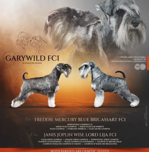 Garywild FCI