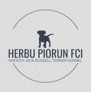 Herbu Piorun FCI - Smooth Jack Russell Terrier Kennel