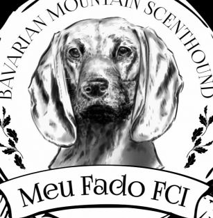 Meu Fado FCI