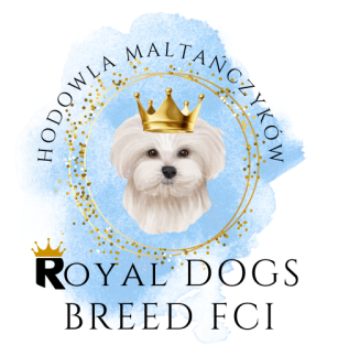 Royal Dogs Breed