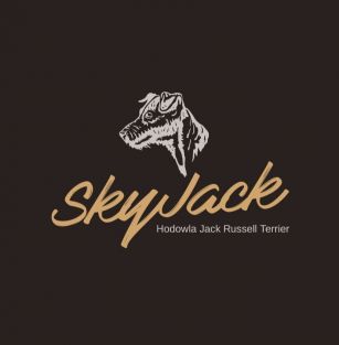 SkyJack