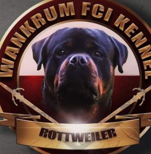 Wankrum FCI 