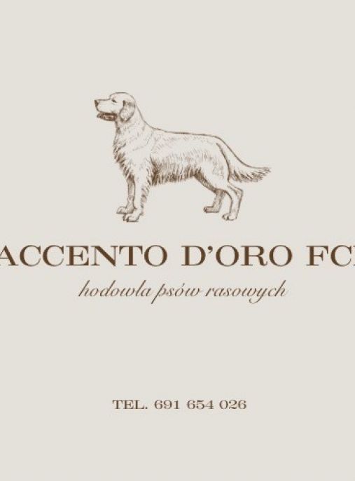 Accento D’Oro FCI 