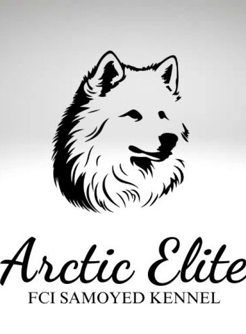 Arctic Elite