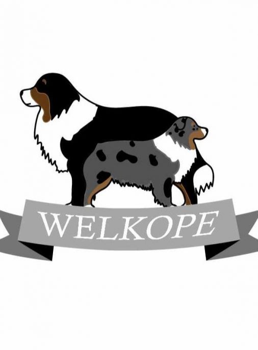 Aussie Welkope FCI