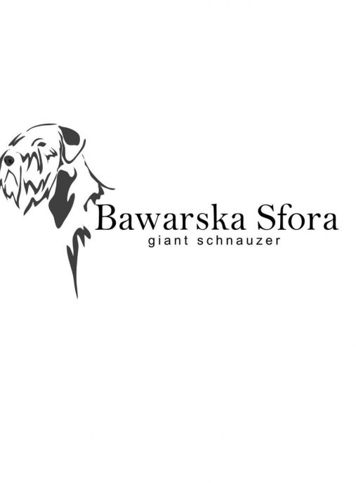 Bawarska Sfora FCI