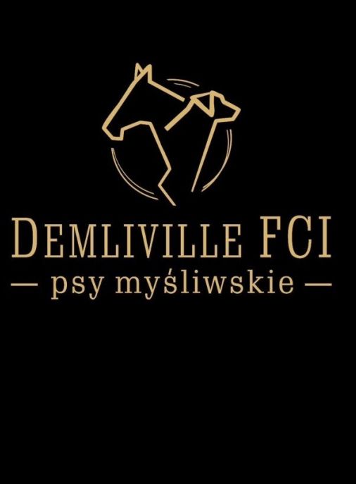 Demliville FCI 