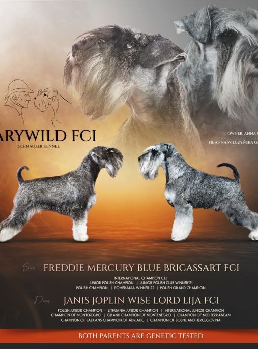 Garywild FCI