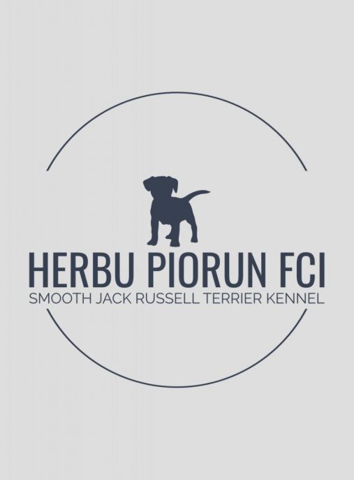 Herbu Piorun FCI - Smooth Jack Russell Terrier Kennel