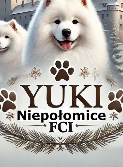 Yuki Niepolomice