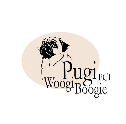 Pugi Woogi Boogie Zuchter Look4dog Com